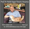 Şubemiz Kurucularından Prof. Dr. Haluk Uygur Tosun Yaşamını Yitirdi